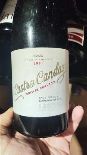 Вина Rouge sec Finca El Curvado Castro Candaz 2018 Іспанія Галісія Рибейра-Сакра DO