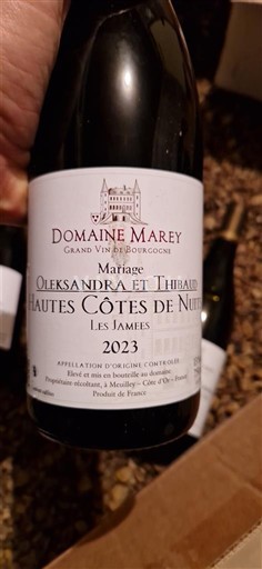 Бургундія Окрестности Нюи Domaine Marey Mariage Oleksandra et Thibaud Les Jamées 2023