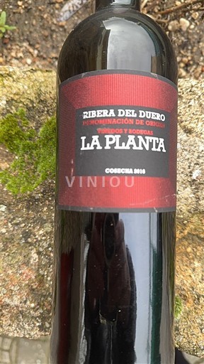 Кастилія і Леон Рибера-дель-Дуеро Arzuaga Navarro La Planta 2018