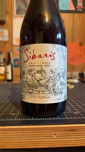 Thung lũng Aconcagua Không được chỉ định Undurraga Sibaris Gran Reserva 2023