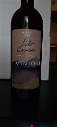 Долина Майпо Маїпо Сентраль Alameda Héctor Carmenère Без вінтажу