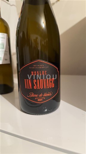 Південний Захід Кот-де-Гасконь Monluc Vin Sauvage Без вінтажу