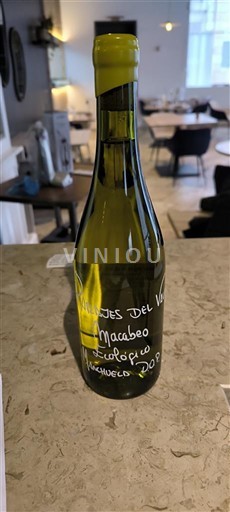 Кастилія-Ла-Манча Манчела Parajes del Valle Macabeo Ecológico 2021