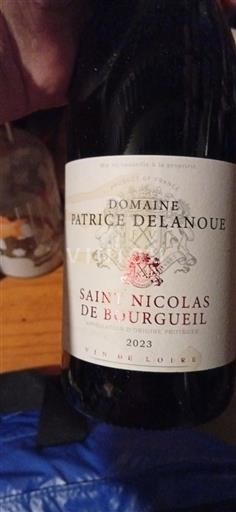 Thung lũng sông Loire Saint-Nicolas-De-Bourgueil Domaine Patrice Delanoue 2023