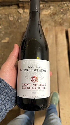 Loire Valley Saint-Nicolas-De-Bourgueil Domaine Patrice Delanoue 2023