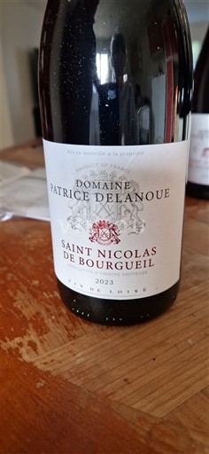 Loire Valley Saint-Nicolas-De-Bourgueil Domaine Patrice Delanoue 2023