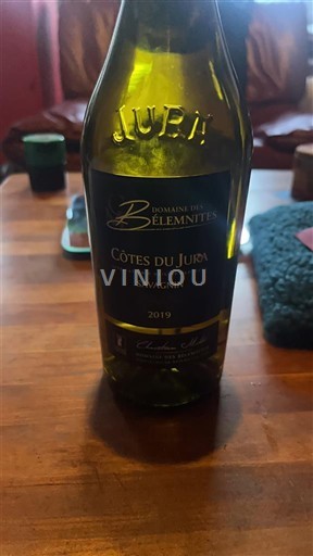 Жура Кот-де-Жюра Domaine S Bélemnites Savagnin 2019