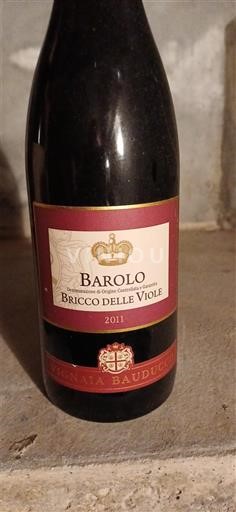 Víno Rouge sec Bricco delle Viole Vignaia Bauducchi 2011 Itálie Piemont Barolo DOC