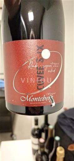 Фландрія Monteberg XX 2022