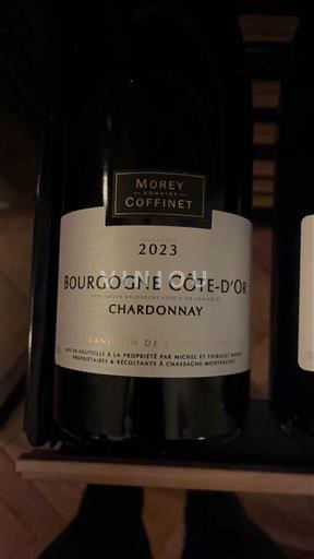 Burgundija Bourgogne zlata obala Morey Coffinet 2023