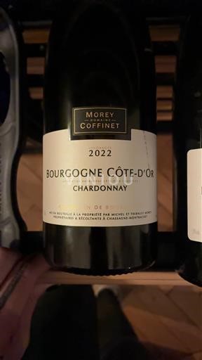 Burgundija Bourgogne zlata obala Morey-Coffinet 2022