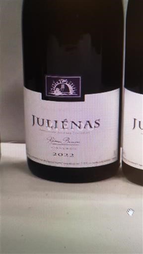 Божоле Жюльєна Domaine Clos du Fief 2022