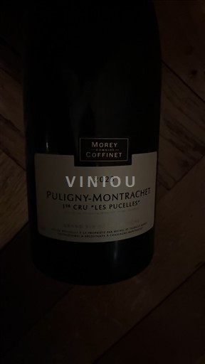Vinhos Blanc sec 1er Cru Les Pucelles Morey Coffinet 2023 França Borgonha Puligny-Montrachet AOC Premier Cru
