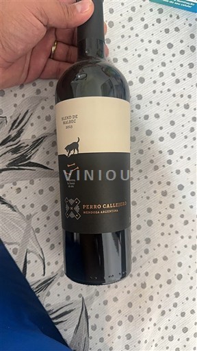 Вина Rouge sec Blend de Malbec Perro Callejero 2023 Аргентина Мендоса
