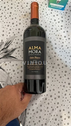 Сан-Хуан Не вказано Alma Mora Select Reserve 2022