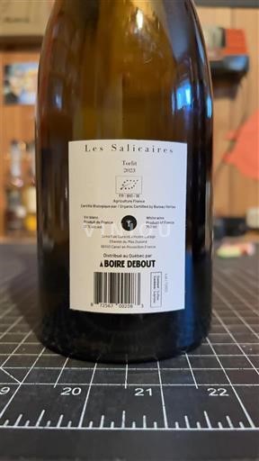 Linguadoca e Rossiglione Paese d'Oc Les Salicornes Les Salicaires 2023