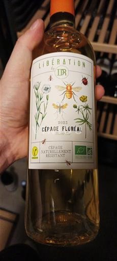 Вина Blanc sec Libération by IDR 2023 Франція Південний Захід Vin de France