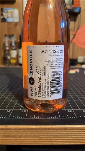 Nespecificat Le sot de l'ange Sottise 2024