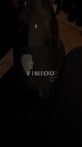 Grisons (Graubünden) Bündner Herrschaft Fadri Itin Sturnel Blanc de Noir 2023