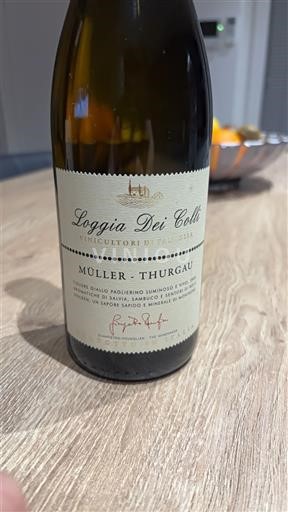 Вина Blanc sec Müller-Thurgau Loggia Dei Colli 2024 Італія Фріулі-Венеція-Джулія Альто Лівенца DOC