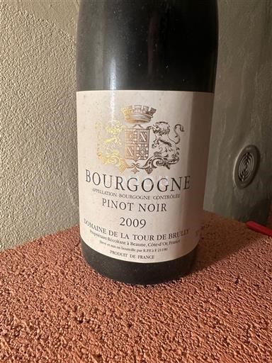 Burgundy Domaine La Tour de Brully Pinot Noir 2009