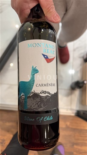 Valea Maipo Maipo Central Montano Real 2017