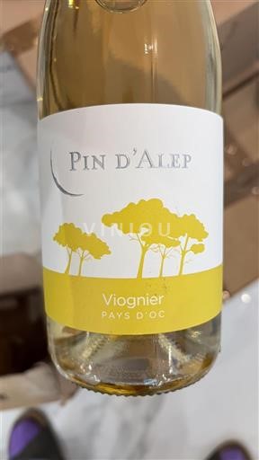 Linguadoca e Rossiglione Paese d'Oc Pin d'Alep 2023