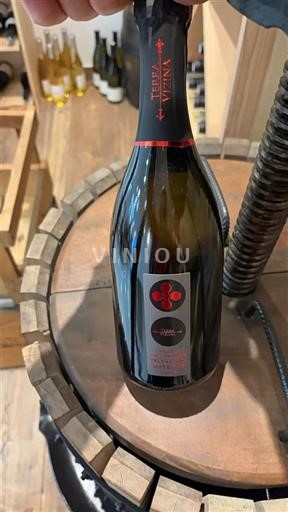 Piemonte Nespecificat Tappa L Vina Nemilésimat