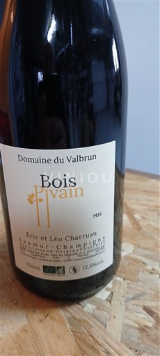 Valle del Loira Saumur-Champigny Domaine Valbrun Bois Flvain 2024