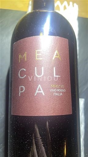 Venetia Mazzi Mea Culpa Nemilésimat