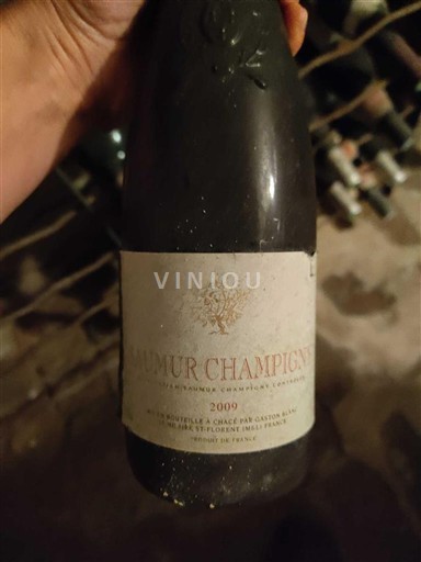 Valle della Loira Saumur Ackerman 2009