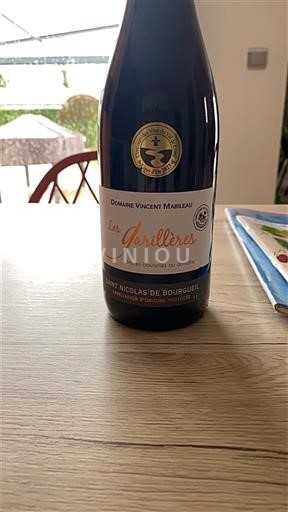 Valle del Loira Saint-Nicolas-De-Bourgueil Domaine Vincent Mabileau Les Jarillères Sin añada