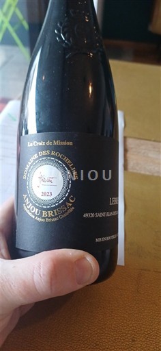 Valle del Loira No especificado Domaine S Rochelles La Croix de Mission 2023