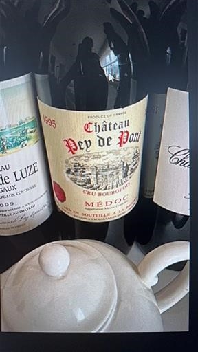 Bordeaux Médoc Château Pey de Pont 1995