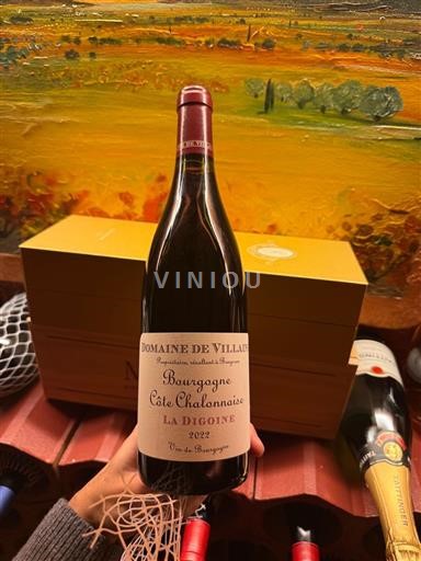 Burgundsko Nespecifikováno Domaine Villaine La Digoine 2022