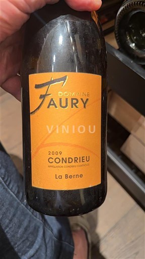 Valle del Rodano Condrieu Domaine Faury La Berne 2009