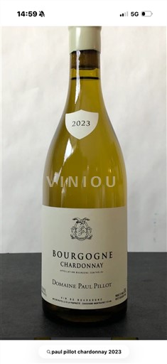 Bourgogne Domaine Paul Pillot 2023