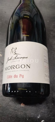 Beaujolais Morgon Joel Lacroix Côte du Py 2023