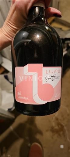 Emilia-Romagna Lambrusco Lini 910 Lambrusco Rosato Nemilésimat