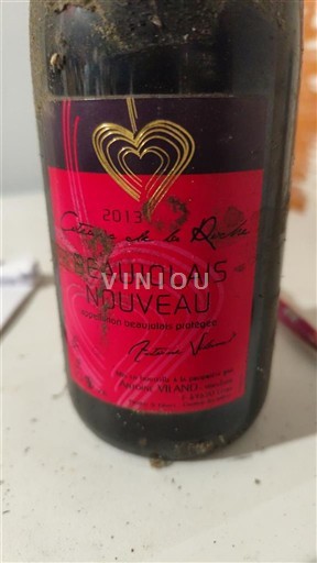 Beaujolais Beaujolais Nouveau Richard Vialard 2013