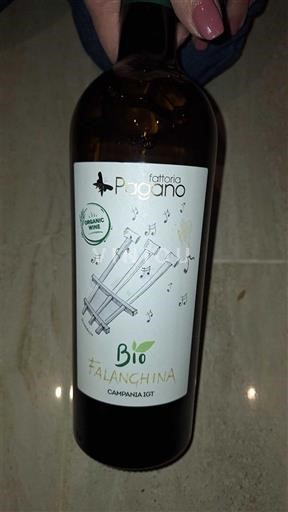 Campania Nespecificat Fattoria Pagano 2022