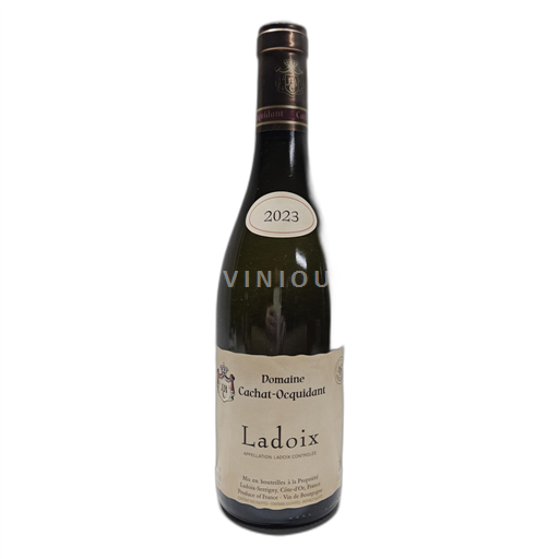 Burgundy Ladoix Cachat-Ocquidant 2023
