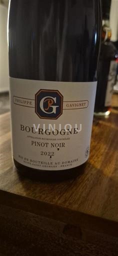 Bourgogne Domaine Philippe Gavignet 2022