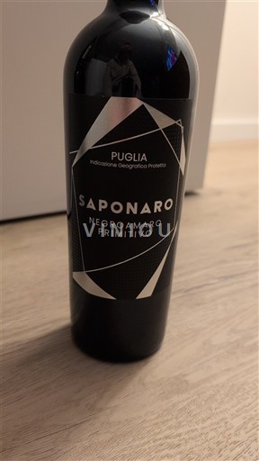 Puglia Nespecificat Saponaro 2022
