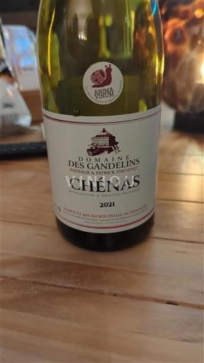Beaujolais Chénas Domaine S Gandelins 2021
