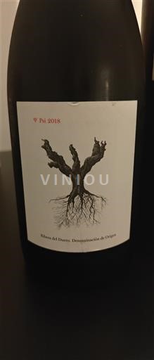 Castilia și León Ribera del Duero Psi Psi 2018