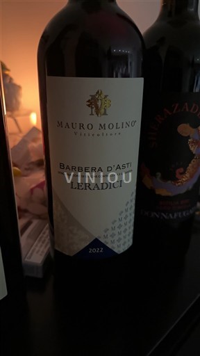 Piemonte Barbera d'Asti Mauro Molino Leradici 2022
