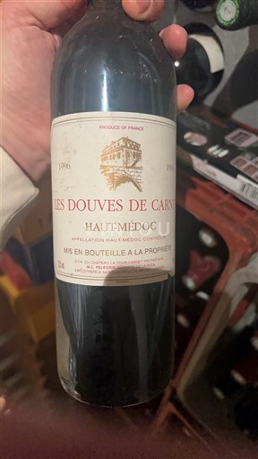 Bordeaux Haut-Médoc Les Douves de Carnot 1996