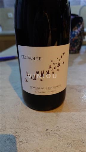 Valle del Loira Saint-Nicolas-De-Bourgueil Domaine La Cotelleraie L'Envolée 2022