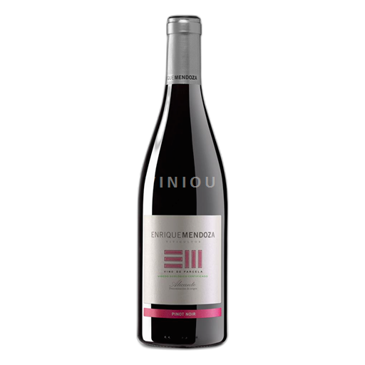 Murcia Alicante Enrique Mendoza Pinot Noir 2024